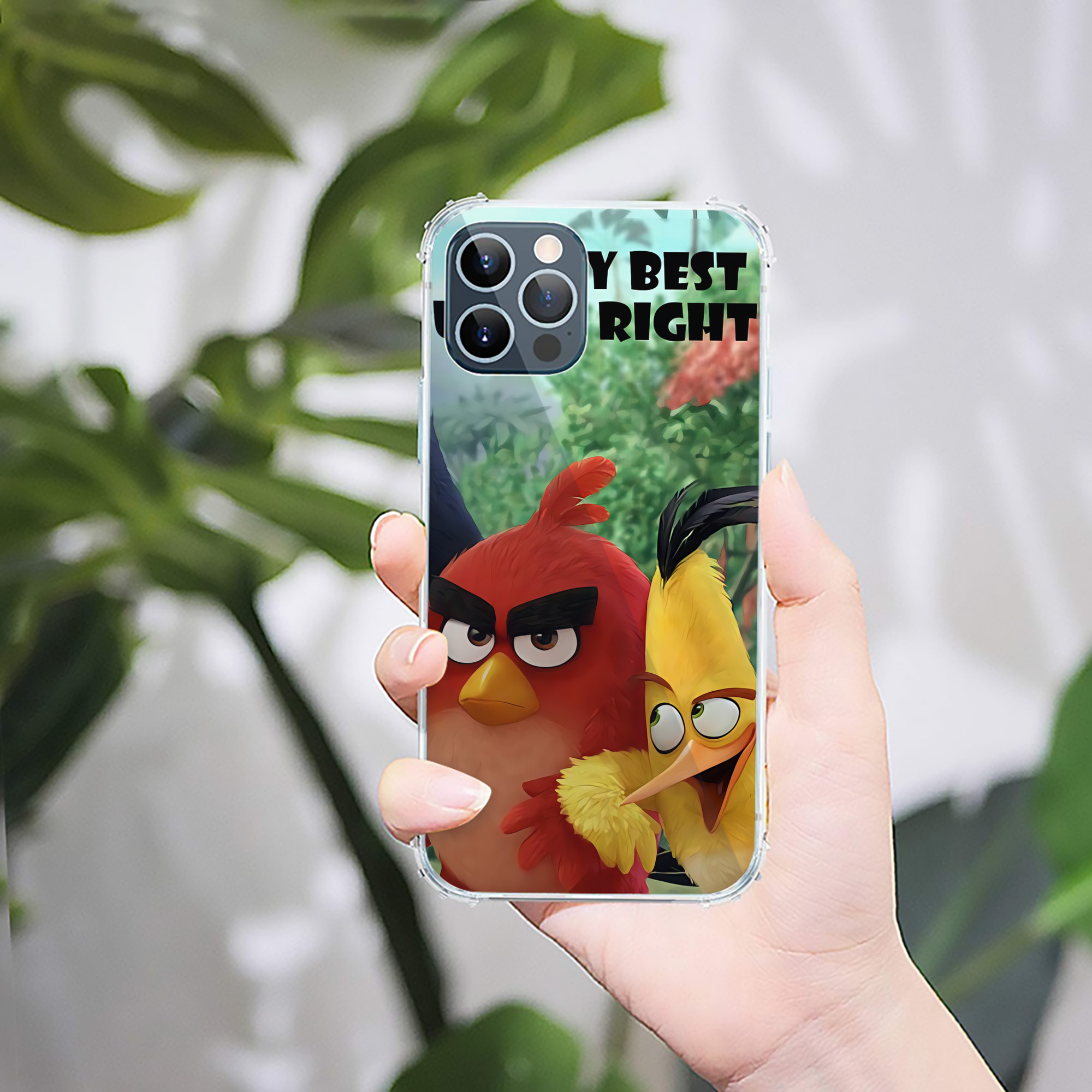 （画像用） Angry Birds アングリーバード 【iPhone 12シリーズ対応】透明スマホケース（クリアソフトケース）